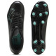 Puma Ultra 7 Play FG/AG